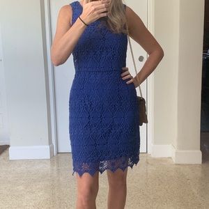 NWT Royal Blue Knit Lace Sheath Dress